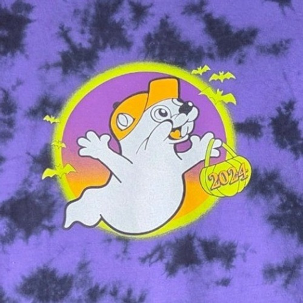 Buc-ee's T-Shirt Unisex Large Purple Tie Dye Halloween 2024 Hey Boo Ghost Tee